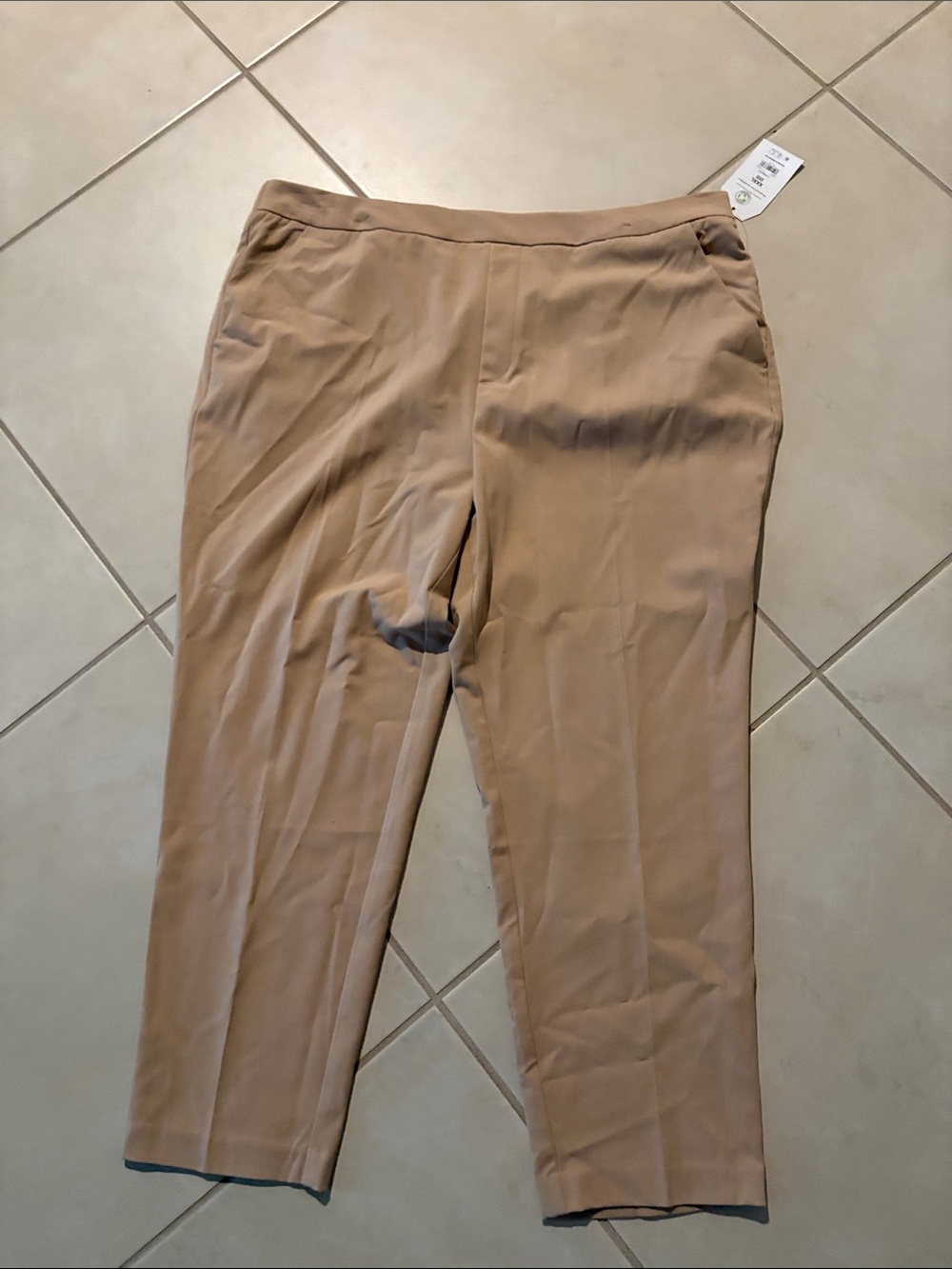 NWT 3X beige dress pants time and tru 1894 - Picture 2 of 7